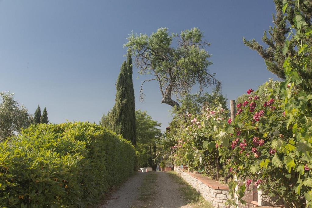 Гостьовий будинок Relais Santa Cristina Радда-ін-К'янті Екстер'єр фото
