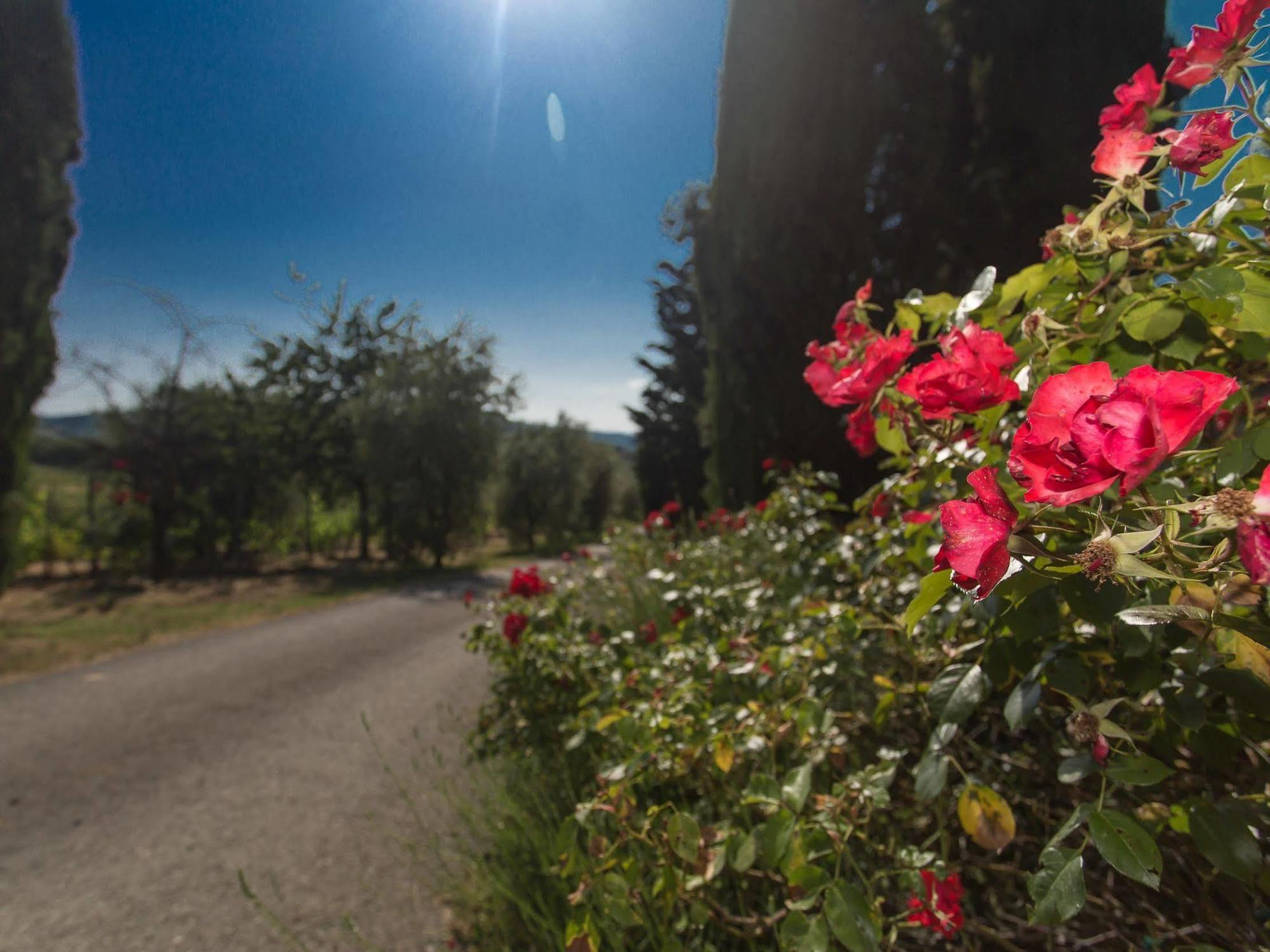 Гостьовий будинок Relais Santa Cristina Радда-ін-К'янті Екстер'єр фото